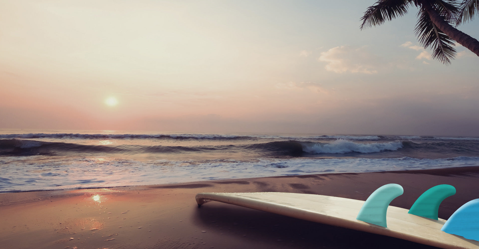 Beautiful beach with colorful surfboard fins during sunset